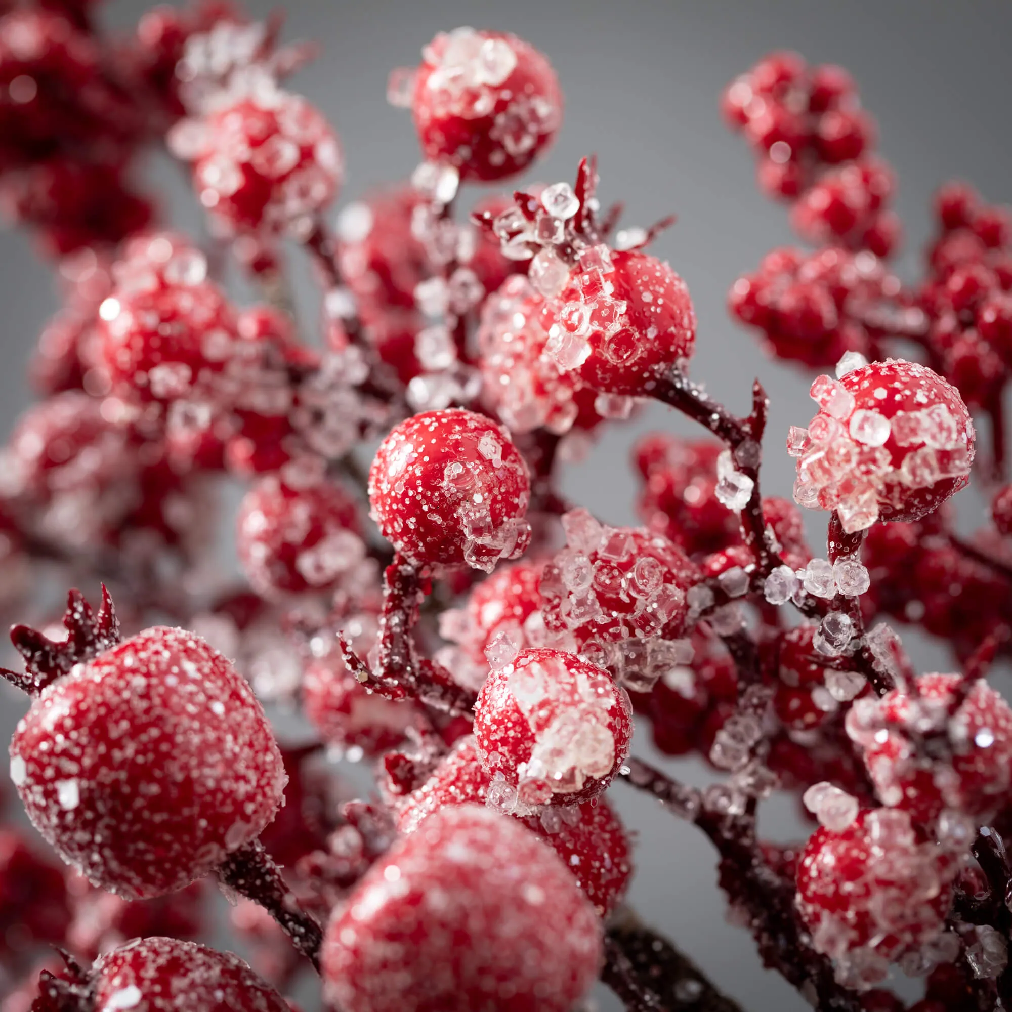 Frosted Red Berry Spray 26"